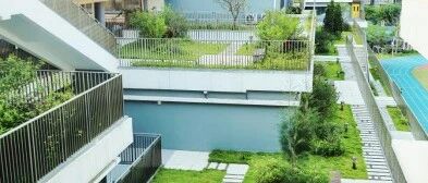 佛山市华英学校附属小学招聘