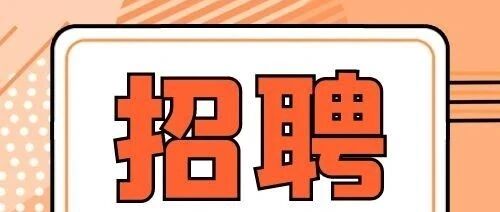 东沙街道办事处2025年就业见习工作人员招聘公告