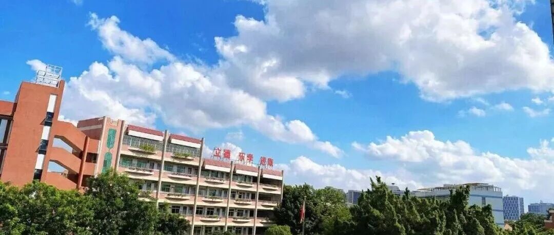 佛山市南海区大沥镇沥东小学招聘公告