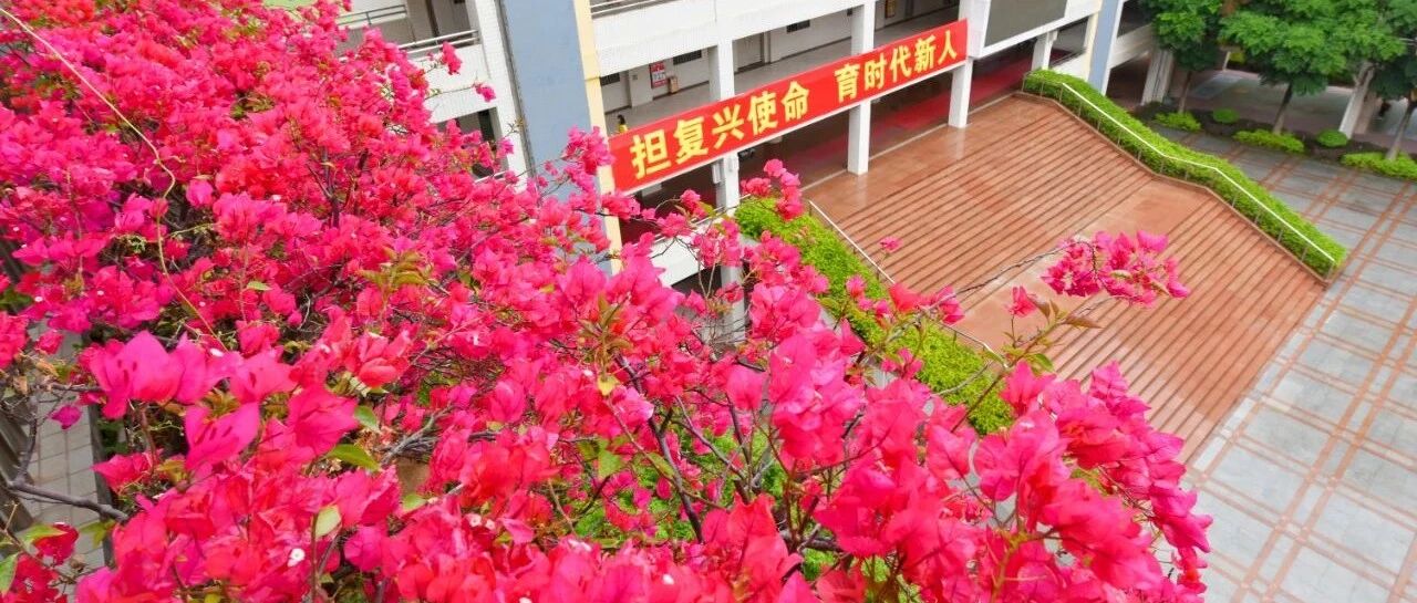 佛山市实验学校招聘