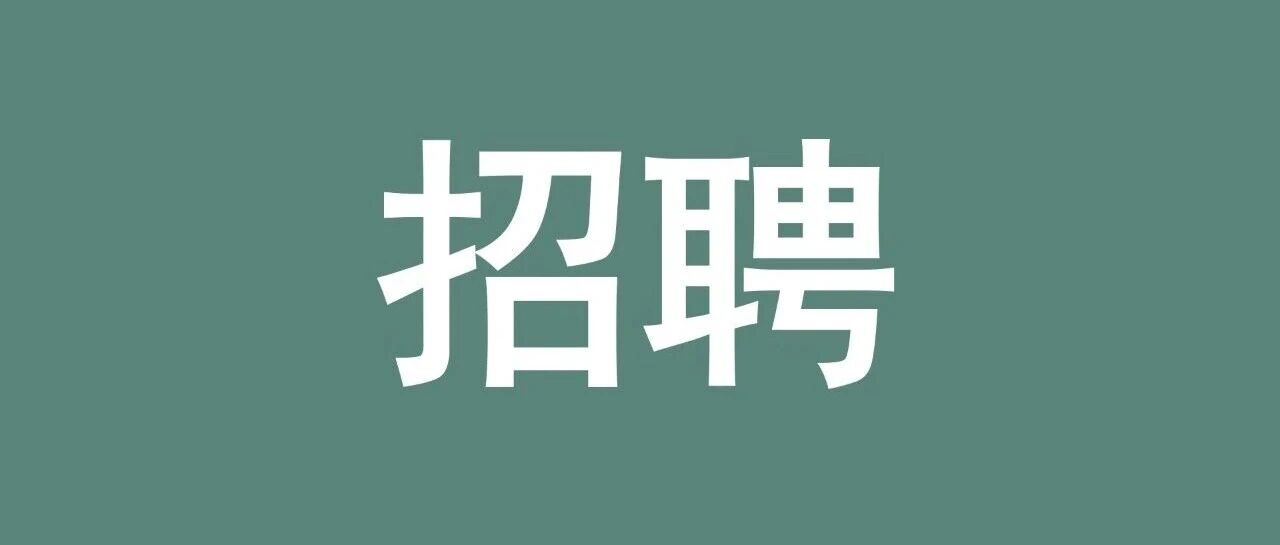 孝德小学招聘财务人员
