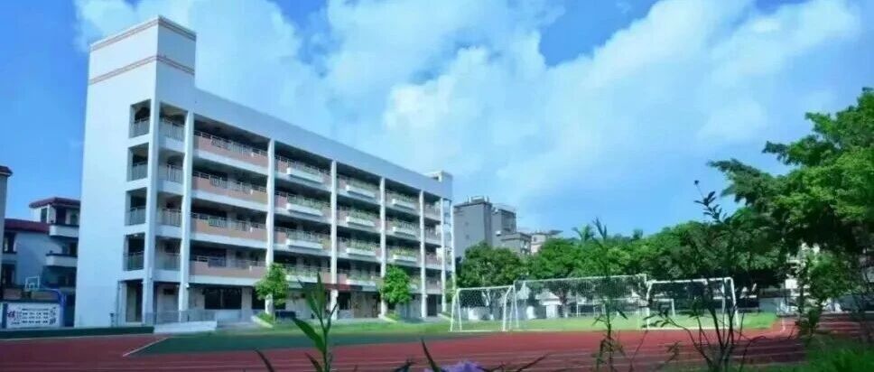 狮山镇显纲小学招聘