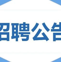 丹灶镇金沙小学招聘