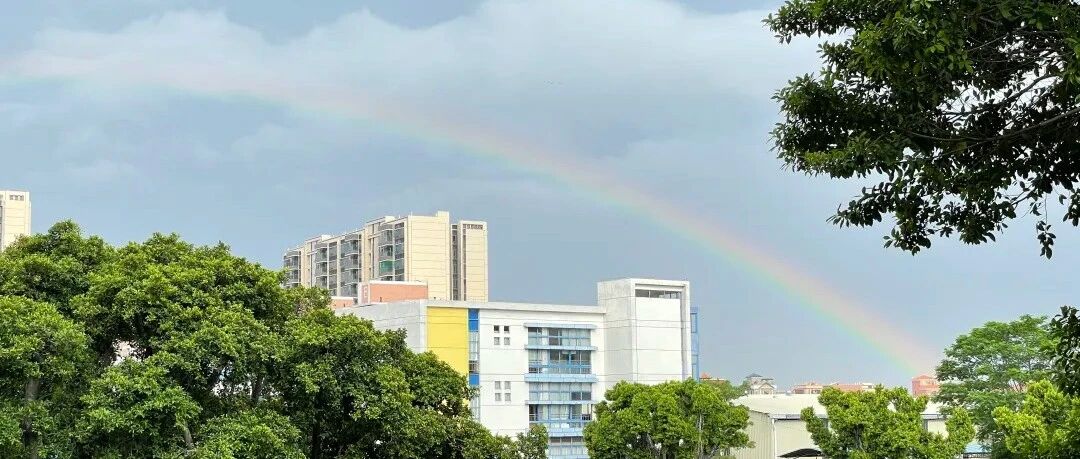 佛山市南海区大沥镇太平成远小学招聘启事