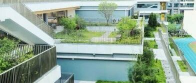 佛山市华英学校附属小学招聘文员