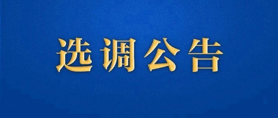 佛山市纪委监委公开选调公务员公告